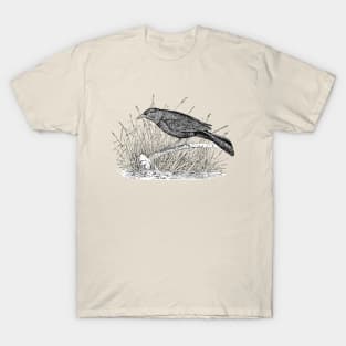 Illustration Grackle T-Shirt